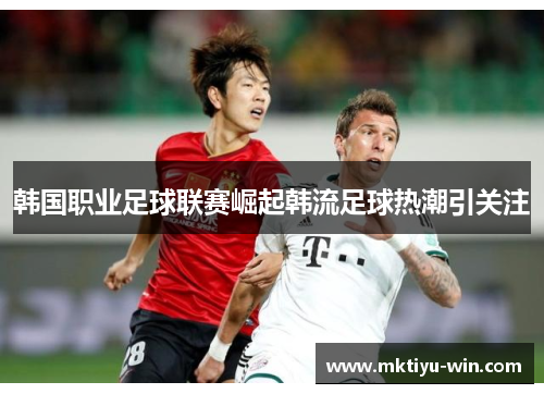 韩国职业足球联赛崛起韩流足球热潮引关注